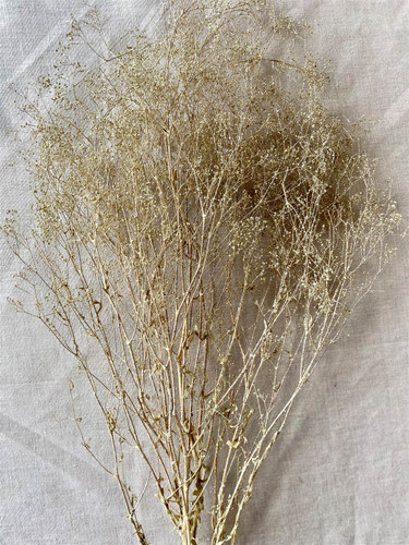 SPARKLE GYP CHAMPAGNE-4OZ PACKED 12