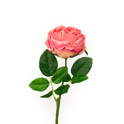 REAL TOUCH SUNSET 17" ENGLISH ROSE