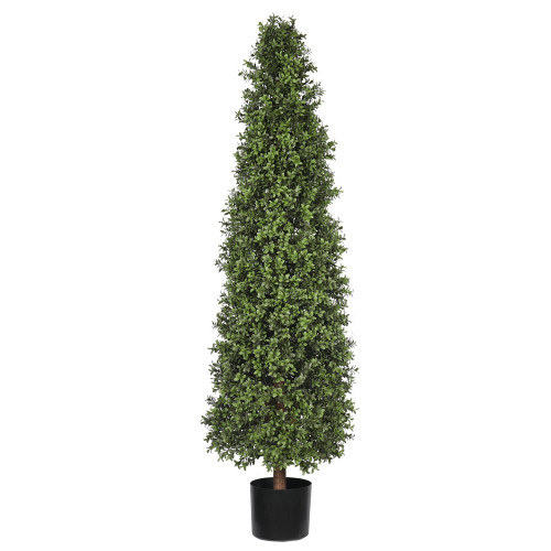 UV BOXWOOD CONE 59" TOPIARY