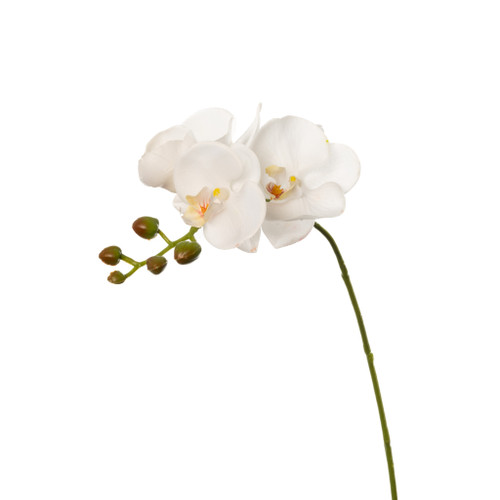 REAL TOUCH PHALAENOPSIS ORCHID WHITE - 30 INCH