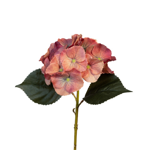 Hydrangea Real Touch Terra Cotta 14"