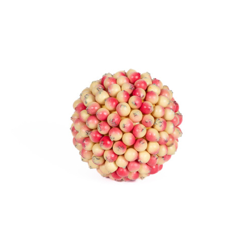 BERRY BALL - SHELL - 4 INCH