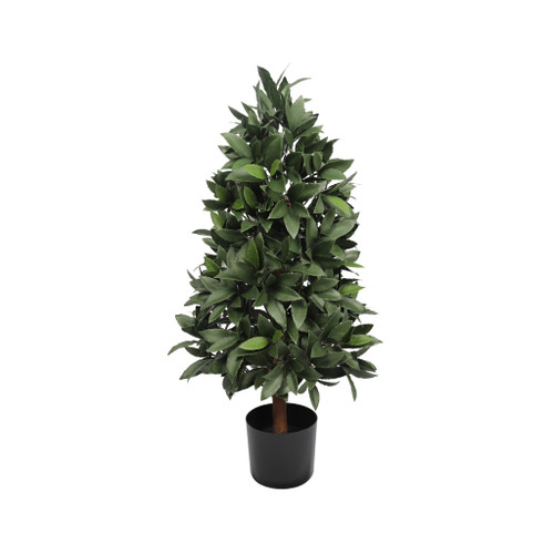 UV BAY LAUREL CONE TOPIARY - 36 INCH