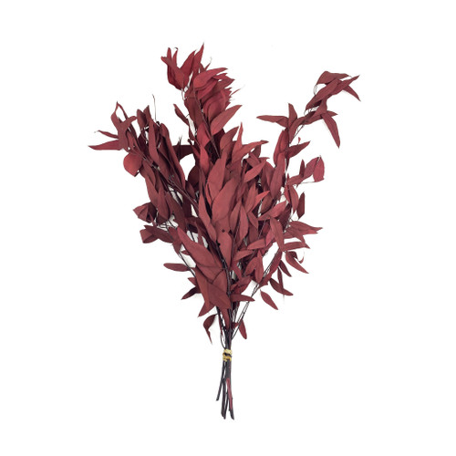 PRESERVED DIAMOND WILLOW EUCALYPTUS - RED - 4 OZ