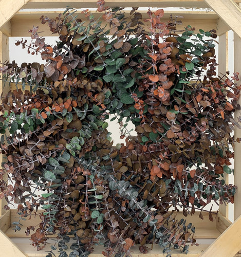 MULTI COLORED BABY EUCALYPTUS WREATH