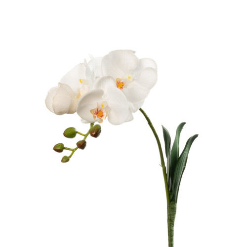 REAL TOUCH PHALAENOPSIS ORCHID WHITE - 15 INCH