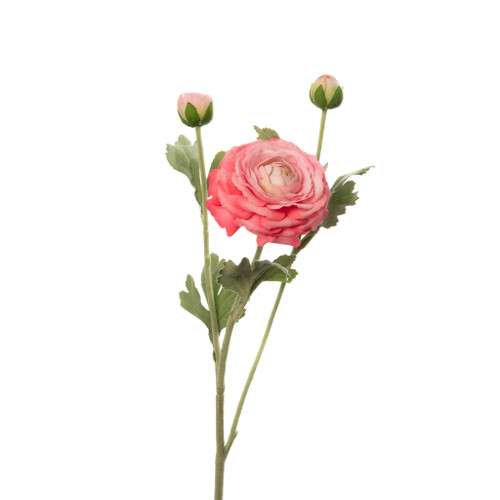 REAL TOUCH RANUNCULUS - FUCHSIA - 19 INCH
