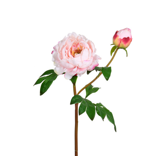 REAL TOUCH PEONY FLOWER  BLOOM - LIGHT PINK - 24.5 INCH