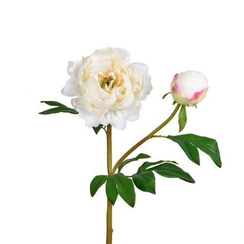 REAL TOUCH PEONY FLOWER  BLOOM - 24.5 INCH - IVORY