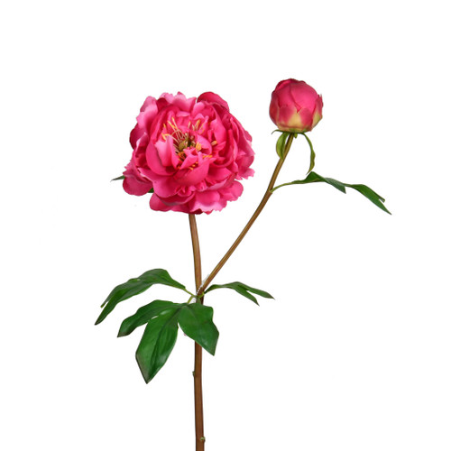 REAL TOUCH PEONY FLOWER  BLOOM - 24.5 INCH - FUCHSIA
