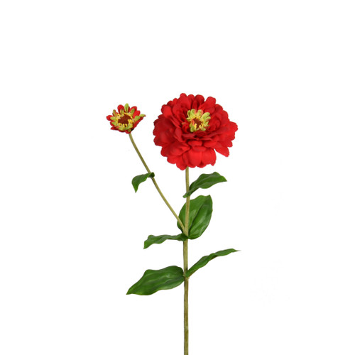 ZINNIA FLOWER AND BLOOM - 26 INCH - RED