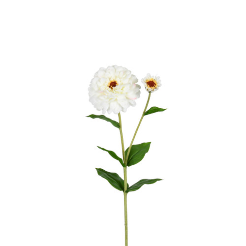ZINNIA FLOWER AND BLOOM - 26 INCH - WHITE
