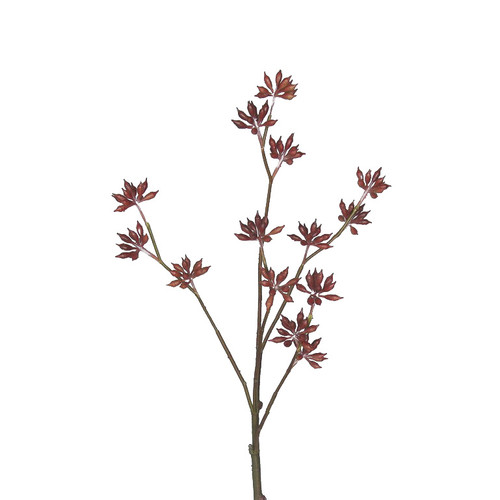 EUCALYPTUS BUD SPRAY 33 INCH