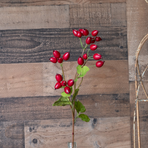 ROSE HIP SPRAY 25 INCH RED