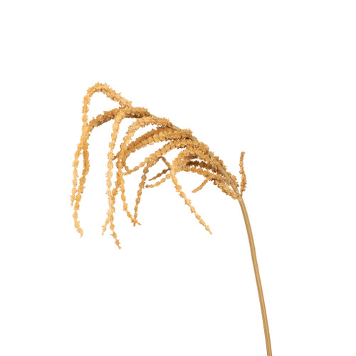 Hanging Amaranthus Spray Buff 39 Inch