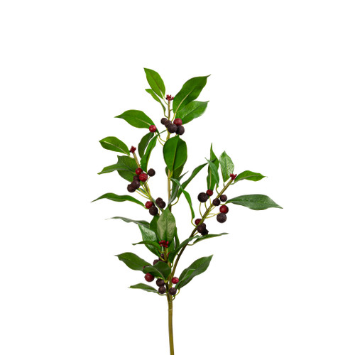 Chokeberry Spray Wine 31 Inch