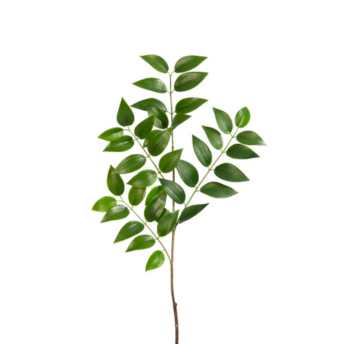 Ruscus Spray 36 Inch