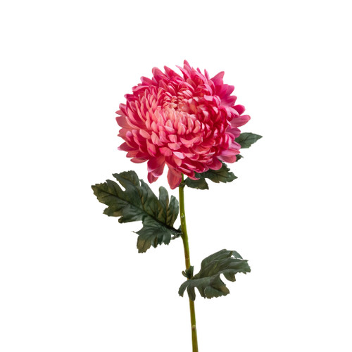 Chrysanthemum Stem Raspberry Real Touch 27 Inch