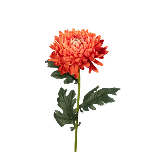Chrysanthemum Stem Sienna Real Touch 27 Inch