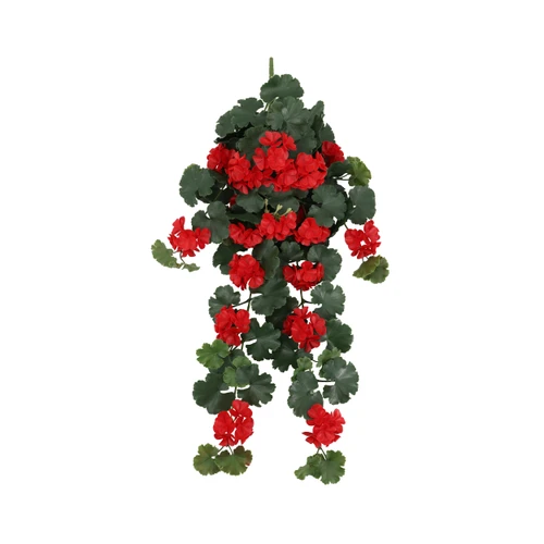 Geranium Hanging UV Plant 30 Inch Red