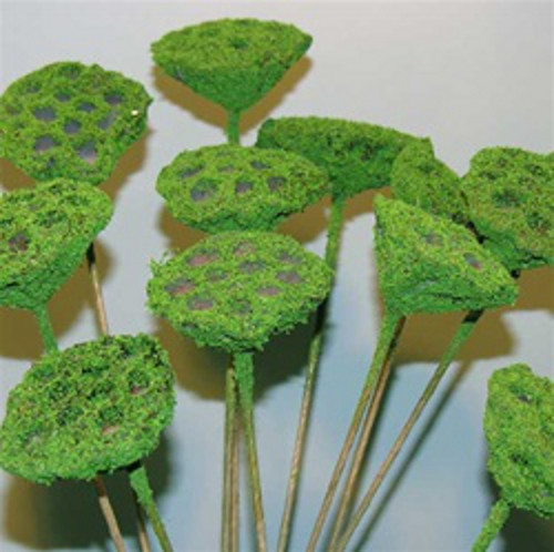 LOTUS PODS - STEM - MOSSCOAT
