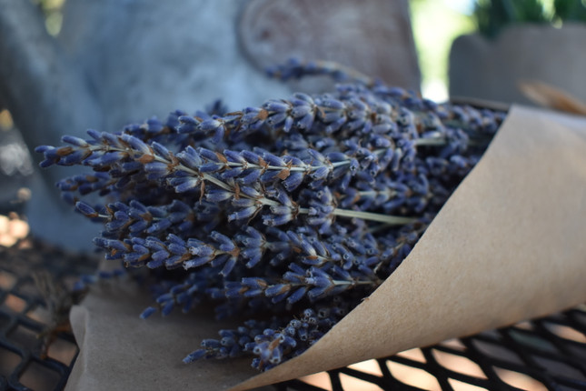 Luscious Lavender Wedding Ideas