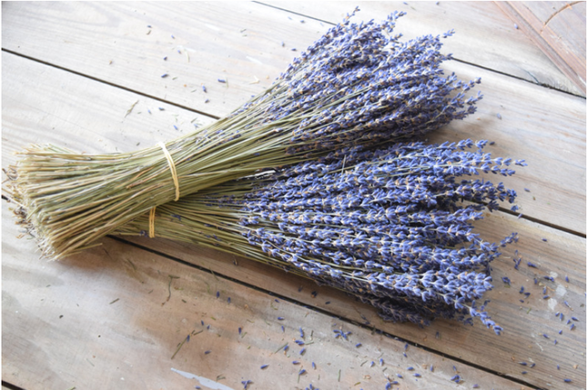 Unique Lavender Uses