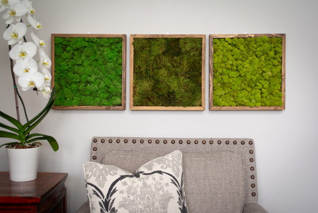 A Mossy New Trend