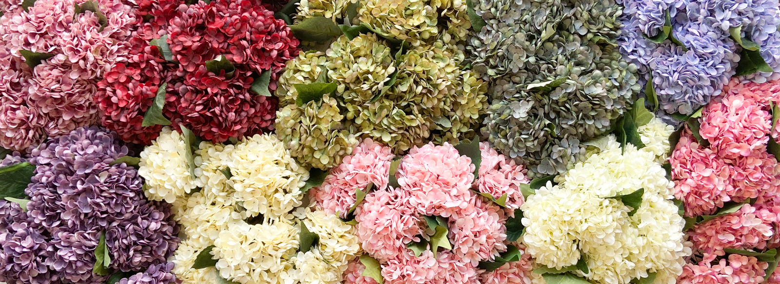 Regine Kleist Wholesale Flowers Atlanta Ga / Wholesale Fresh Floral