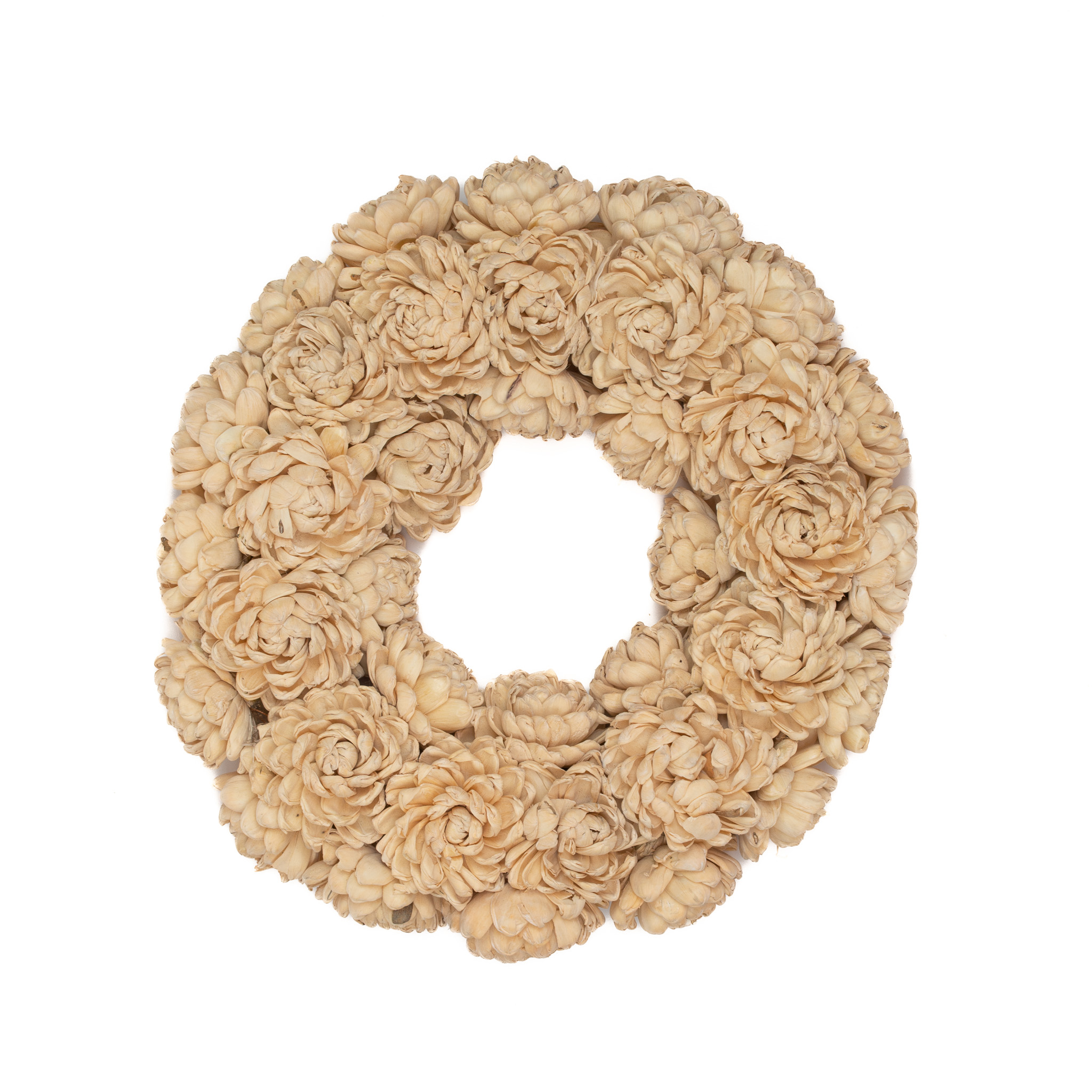 SHOLA CHRYSANTHEMUM 15