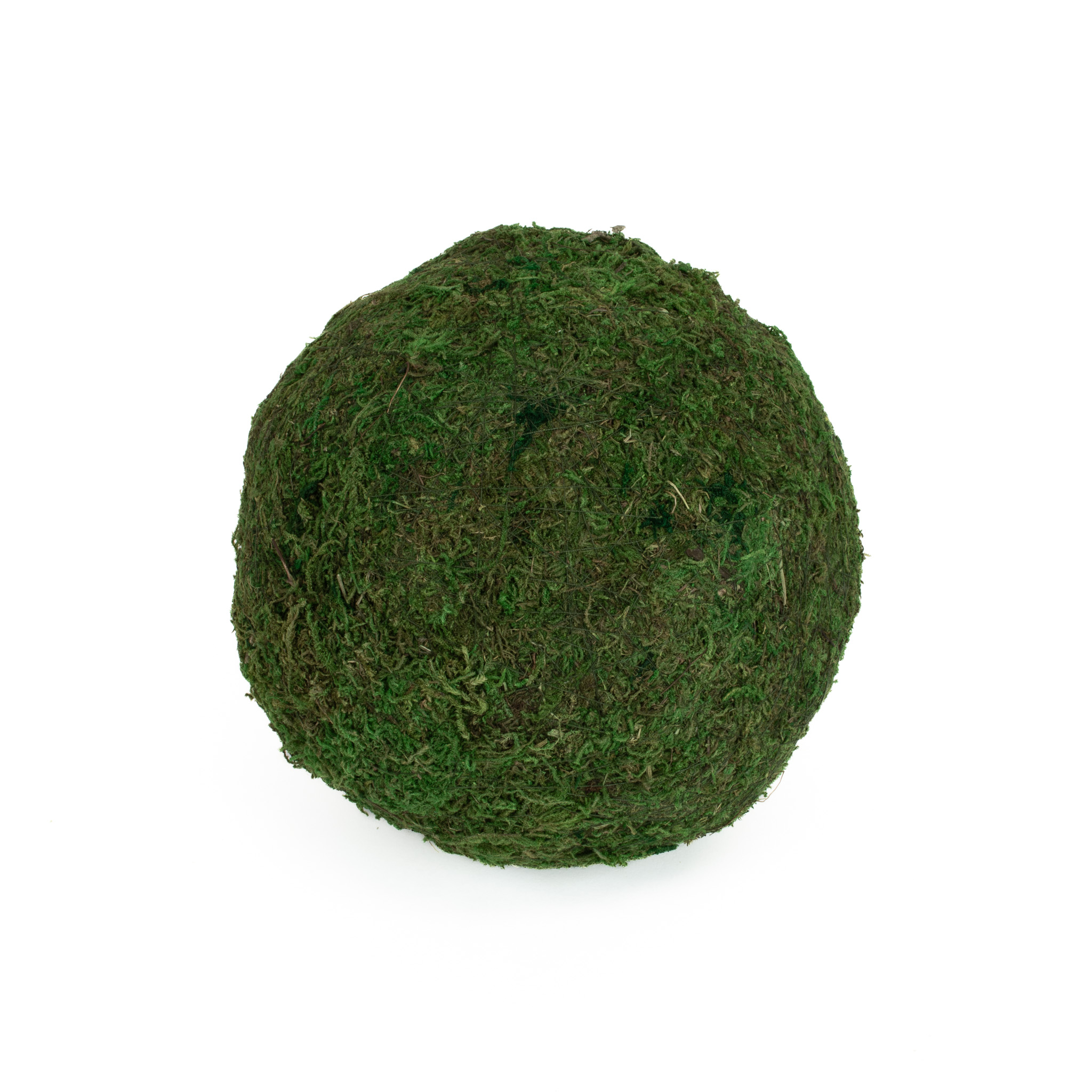 GREEN SHEET MOSS BALLS - 8 INCH - Mills Floral Company