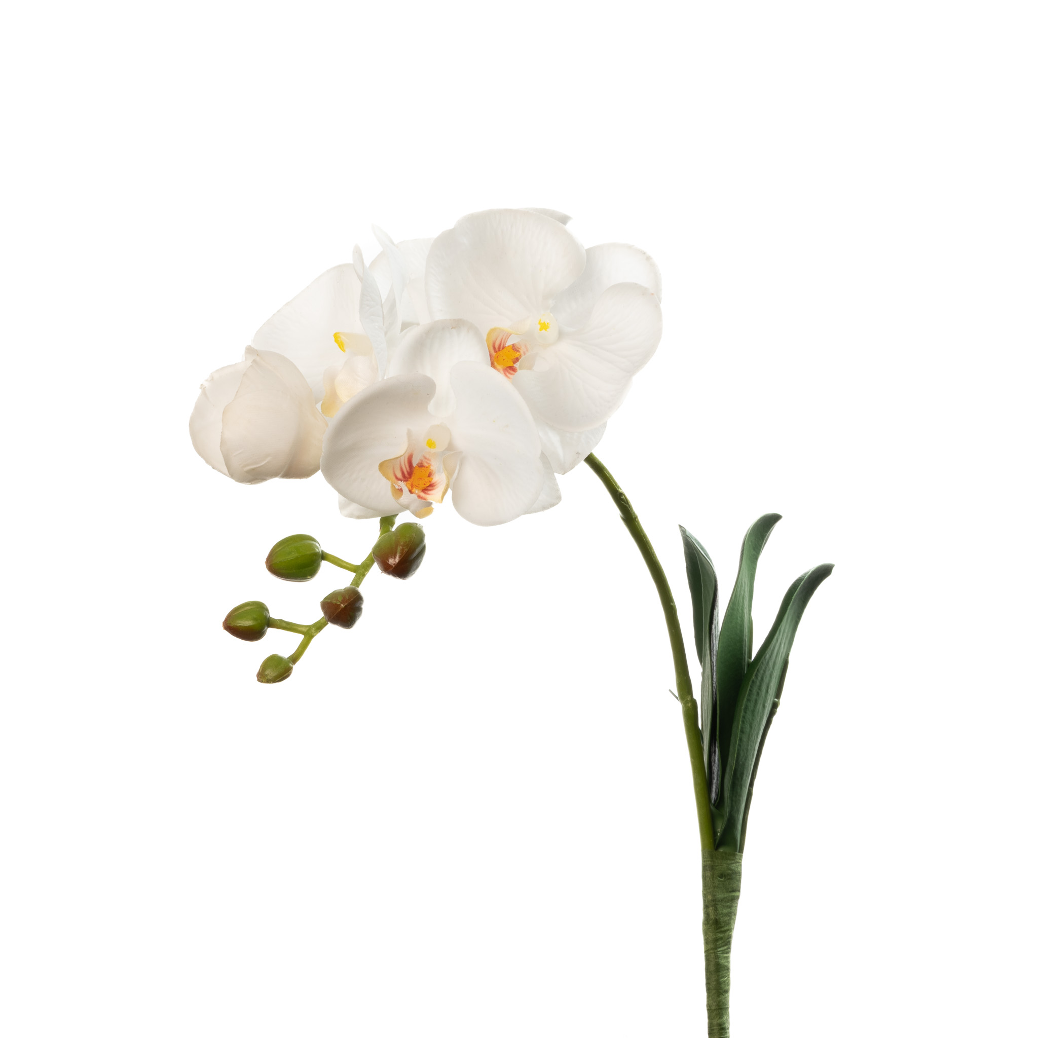 REAL TOUCH PHALAENOPSIS ORCHID WHITE - 15 INCH - Mills Floral Company