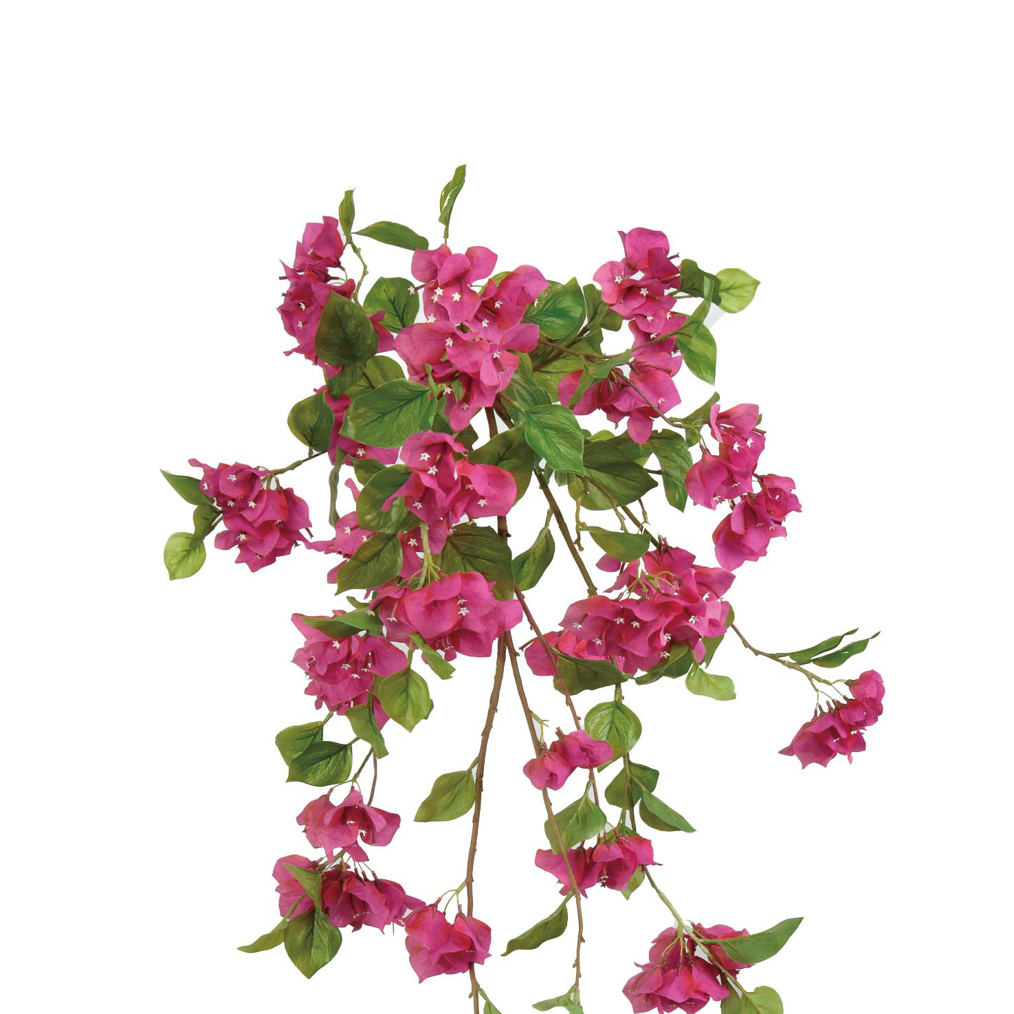 BOUGAINVILLEA HANGING BUSH - FUCHSIA - 43 INCH - Mills Floral Company