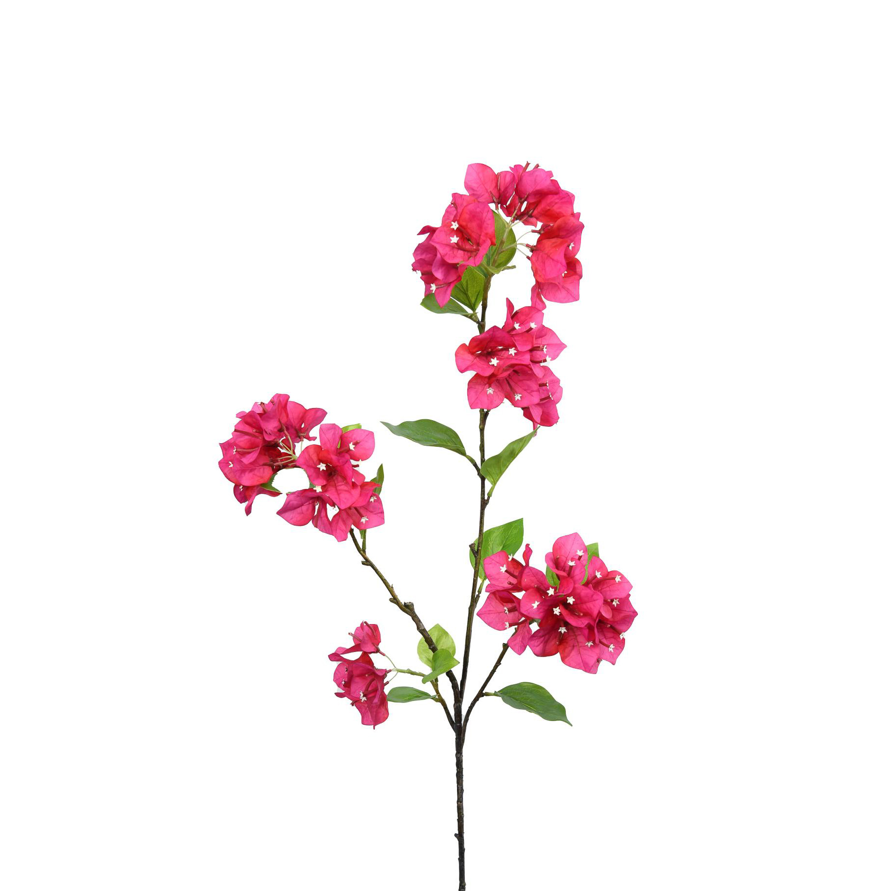 BOUGAINVILLEA SPRAY - FUCHSIA - 38 INCH - Mills Floral Company