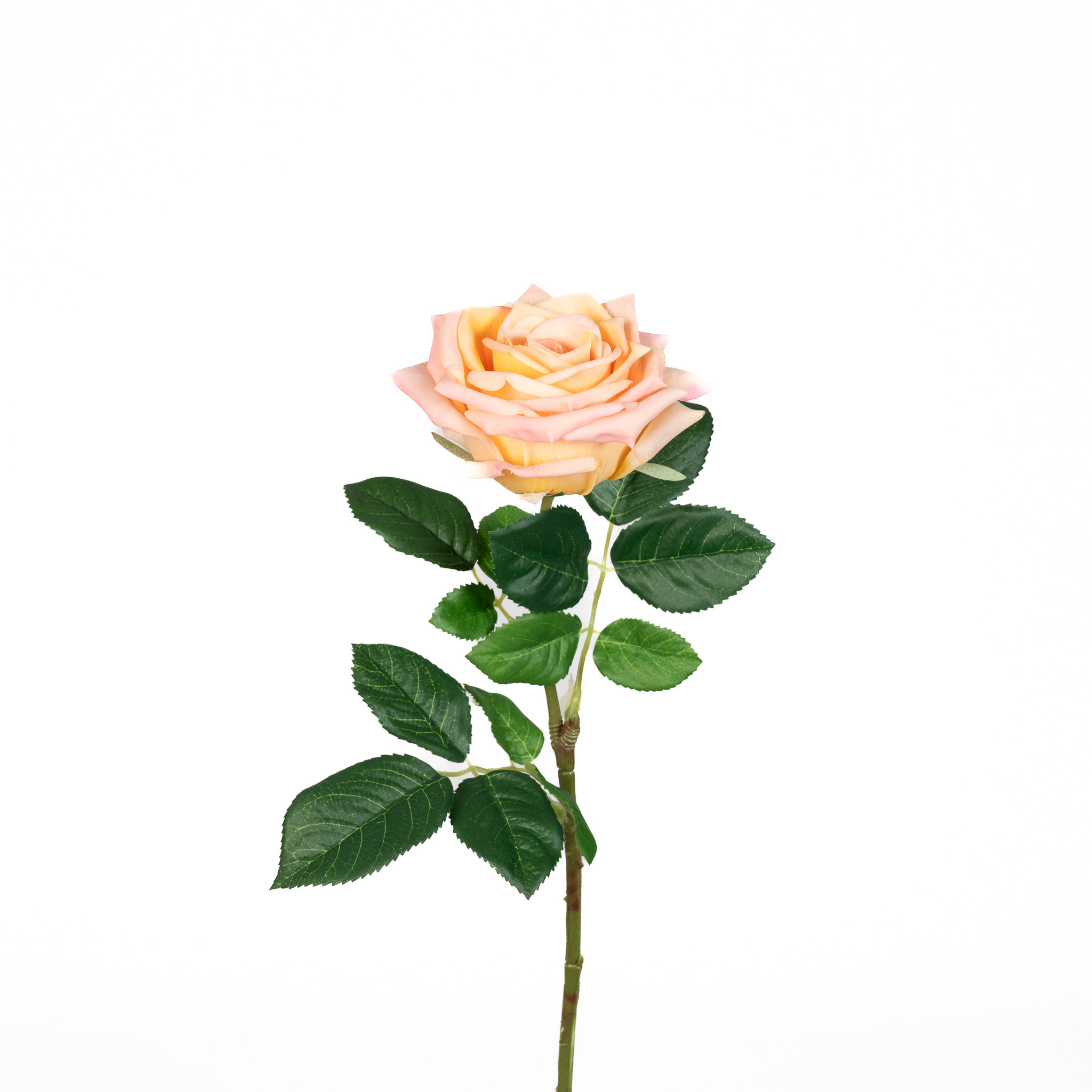 REAL TOUCH VINTAGE ROSE - PEACH BLUSH - 24 INCH - Mills Floral Company