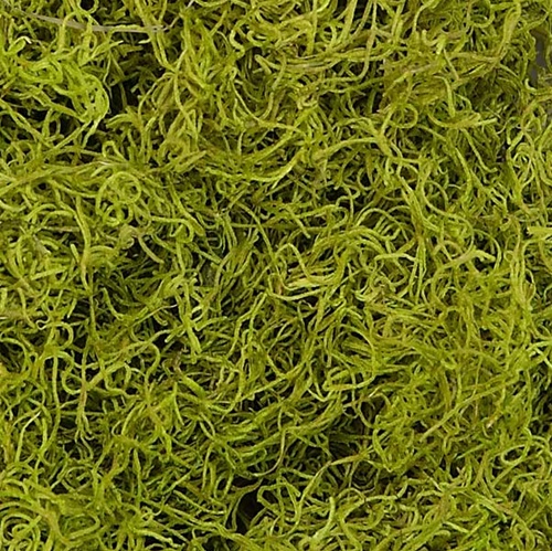 Spanish Moss Dry 480 cu in Nat
