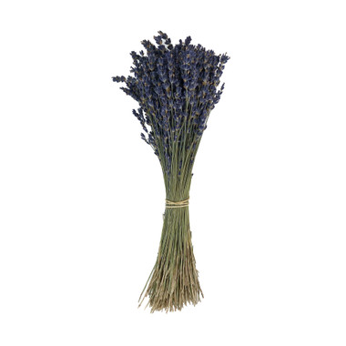 FRENCH LAVENDER UNSLEEVED - 50 BUNCHES BULK - Mills Floral Company