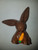 Lop Ear Rabbit Lop Ear Rabbit
