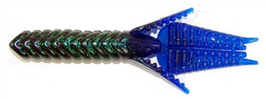 Why Not June Bug Blue Tail Why Not June Bug Blue Tail