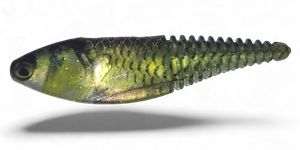 EZ Shaker Gold Shiner Gold Tail Painted