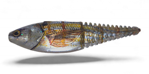 EZ Shaker Live Pinfish Silver Tail
