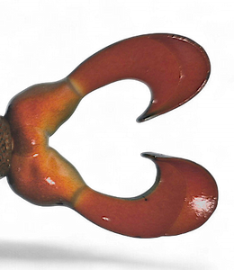 The Swimming Frog Replacement Legs Sunfish