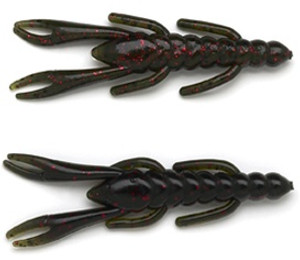 Cricket Florida Five-O Cricket Florida Five-O