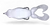 The Swimming Frog White