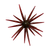 High Roller 17MM Urchin June Bug