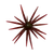 High Roller 23MM Urchin June Bug
