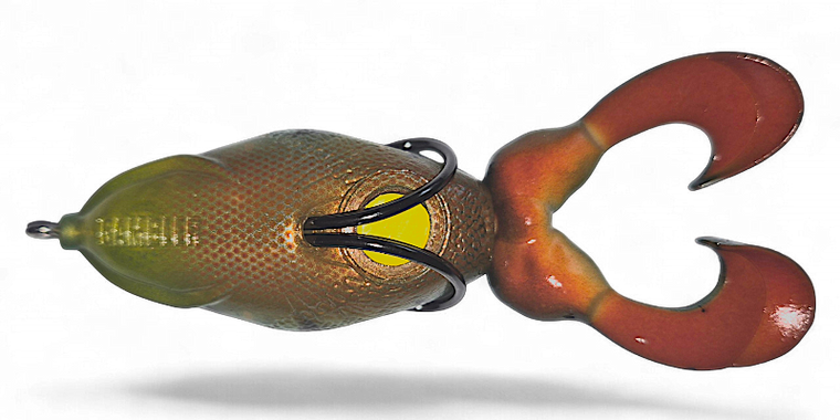 The Swimming Frog Sunfish