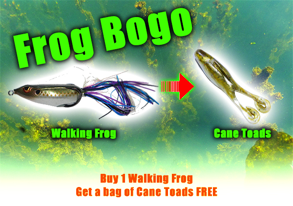 buy one get one free frogs