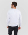 Back View of Alashan cashmere Cotton Cashmere Classic V-Neck Pullover in Robins Egg 