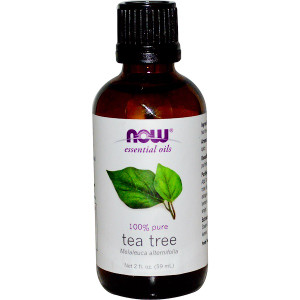 Now Foods, Essential Oils, Tea Tree, 2 fl oz (59 ml)